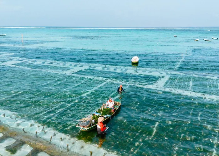 Kalm Nusa Lembongan